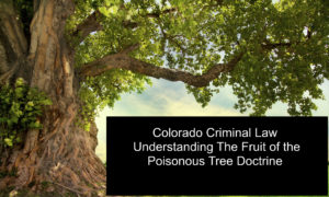 Colorado Criminal Law - Understanding The Fruit of the Poisonous Tree Doctrine