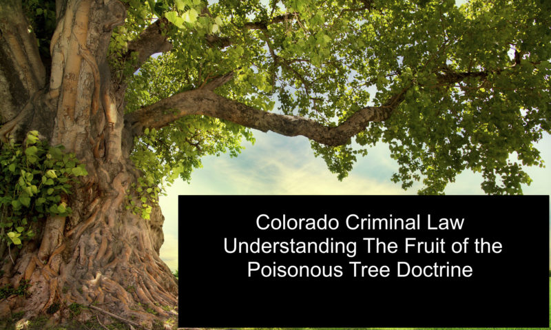 Colorado Criminal Law - Understanding The Fruit of the Poisonous Tree Doctrine