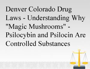 Denver Colorado Drug Laws - Understanding Why "Magic Mushrooms" - Psilocybin and Psilocin Are Controlled Substances